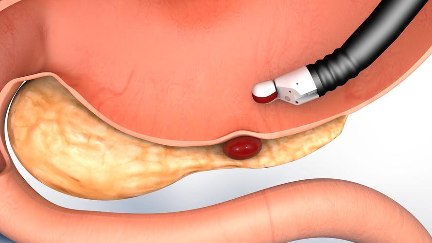 北京医疗三维动画制作的价格一般是多少？